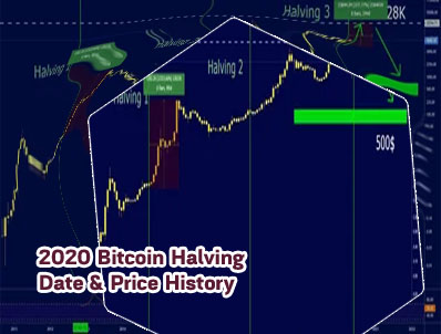 Btc halvings chart