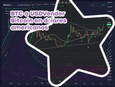 Btc too usd