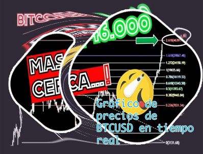 Precio btc dolar