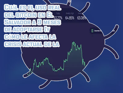 Real btc