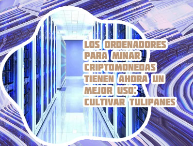 Servidores para minar criptomonedas